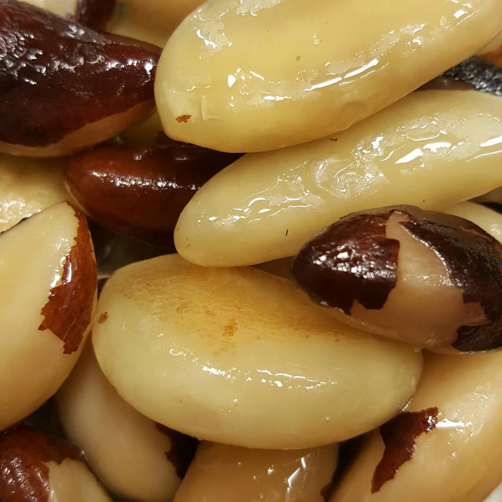 Brazilian Nuts 1 Brazilian Nuts