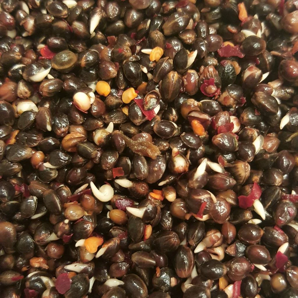 Hennep Chili 1 Hennep Chili