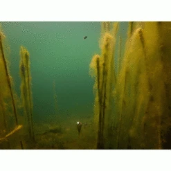 Fox Zig Float Kit -Hareco Hengelsport Winkel fox zig float kit 3