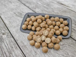 Scopex Cream Belachan Boilies
