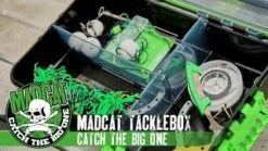 MADCAT Tacklebox 5 MADCAT Tacklebox -Hareco Hengelsport Winkel madcat tacklebox 2