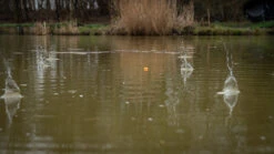 Pellet Waggler 11 Pellet Waggler -Hareco Hengelsport Winkel matrix fishing pellet waggler 5