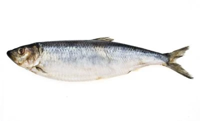 Dood Aas Haring 1 Dood Aas Haring