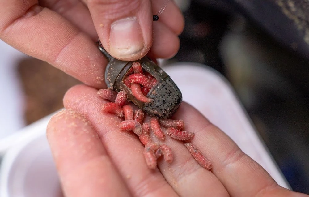 Preston Icm Maggot Feeder 3 Preston Icm Maggot Feeder - Afbeelding 3