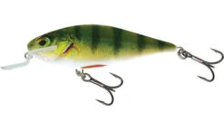 Salmo Executor 9cm Shallow Runner -Hareco Hengelsport Winkel salmo executor 9cm shallow runner 3