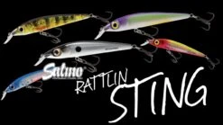 Salmo Rattlin' Sting Suspending 9cm -Hareco Hengelsport Winkel salmo rattlin sting suspending 9cm 2