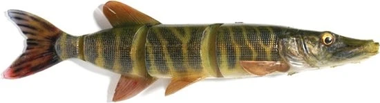 Savage Gear 4d Line Thru Pike 2 Savage Gear 4d Line Thru Pike - Afbeelding 2