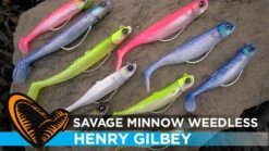 Savage Gear Minnow Sinking Tail 2+1 -Hareco Hengelsport Winkel savage gear minnow sinking tail 21 2