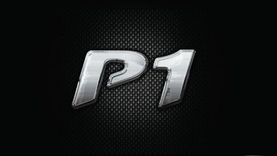 P1 Travel-lite Banksticks 6 P1 Travel-lite Banksticks - Afbeelding 6